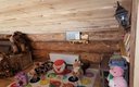 Дом 10-местный 5-комнатный (№4)