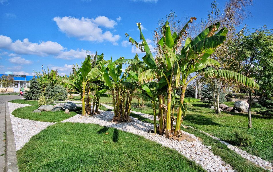 «Aquavita» / «Аква-Вита» термальный комплекс. Мостовской. Цены на 2025 ...