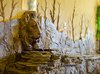 лучшие санатории адыгеи с лечением. Смотреть фото лучшие санатории адыгеи с лечением. Смотреть картинку лучшие санатории адыгеи с лечением. Картинка про лучшие санатории адыгеи с лечением. Фото лучшие санатории адыгеи с лечением