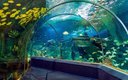 Океанариум