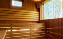 Дом 2-местный 1-комнатный (LATO-65 Sauna)