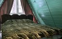 Афрейм 8-местный 2-комнатный