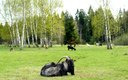 Общий вид