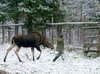 у костромушки блины с творогом. Смотреть фото у костромушки блины с творогом. Смотреть картинку у костромушки блины с творогом. Картинка про у костромушки блины с творогом. Фото у костромушки блины с творогом