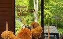 «Барские поля» база отдыха