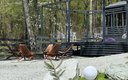 IMG_8881