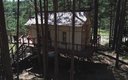 Дом Панды 3-местный