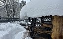 Территория