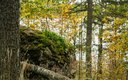 Территория