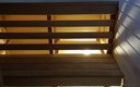 сауна