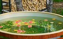 Дом 2-местный 1-комнатный (LATO-65 Sauna)