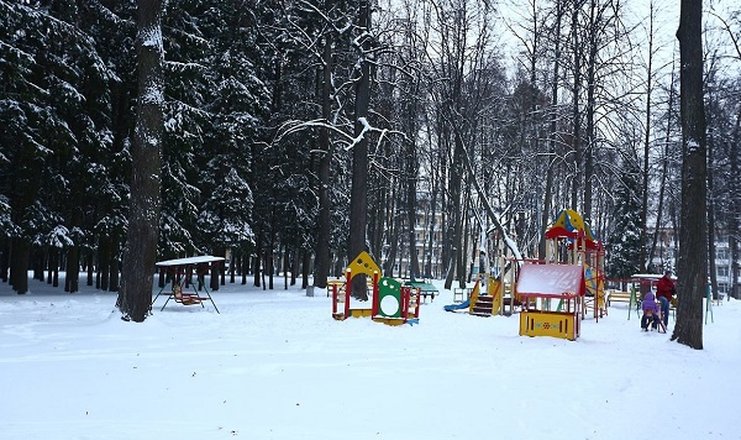 Воздвиженское парк отель подмосковье фото