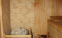 Сауна