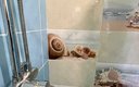 Комфорт 6-местный 2-комнатный (вид на море)