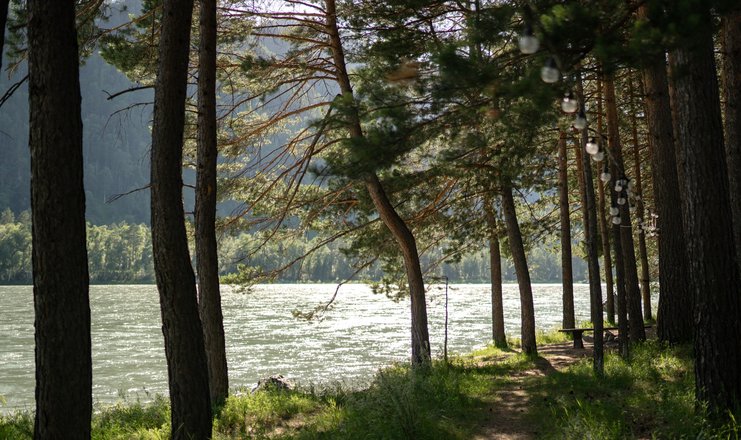 Чепош парк алтай фото