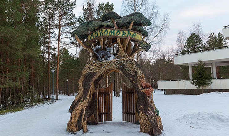 Санаторий дюны санкт петербург фото