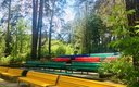 Общий вид