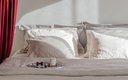 Номер 2-местный (MUSE)
