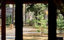 Семейный 4-местный 2-комнатный 2-этажный (4+2)