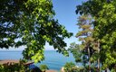 IMG_20190703_075722_.jpg