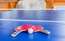Настольный тенис