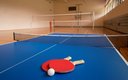 настольный теннис
