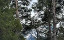 IMG_8027