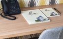 Номер 2-местный (Сканди)