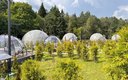 Геокупол Люкс 4-местный