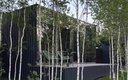 Домик 2-местный (Зеркальный лес)