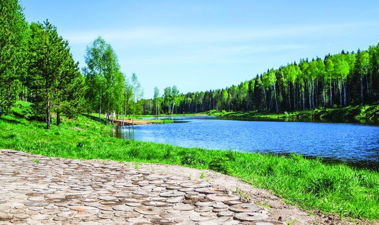 Доброград владимирская область официальный сайт фото