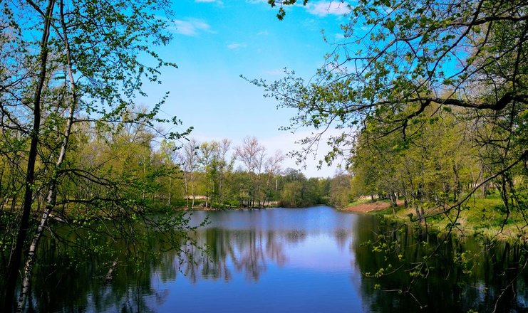 Воздвиженское парк отель подмосковье фото