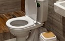 Стандартный 3-местный 1-комнатный (в корпусе)