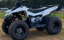 Квадроциклы