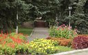 Общий вид