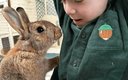 «Барские поля» база отдыха