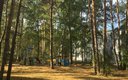 Общий вид