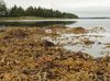 экскурсия море маяк тюлень остров топ. Смотреть фото экскурсия море маяк тюлень остров топ. Смотреть картинку экскурсия море маяк тюлень остров топ. Картинка про экскурсия море маяк тюлень остров топ. Фото экскурсия море маяк тюлень остров топ