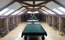 Бильярдный стол