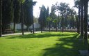 Лужайка