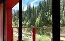 Домик 2-местный 1-комнатный