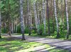 санаторий карагайский бор комнаты. Смотреть фото санаторий карагайский бор комнаты. Смотреть картинку санаторий карагайский бор комнаты. Картинка про санаторий карагайский бор комнаты. Фото санаторий карагайский бор комнаты