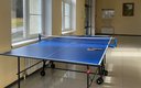 Настольный теннис