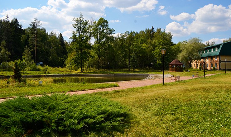 Новосибирск лесная поляна фото