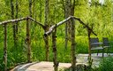Дом 4-местный 2-комнатный (LATO-80 Sauna)