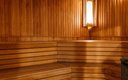 Сауна с бассейном