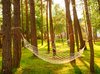 Что такое яхонты таруса. Смотреть фото Что такое яхонты таруса. Смотреть картинку Что такое яхонты таруса. Картинка про Что такое яхонты таруса. Фото Что такое яхонты таруса