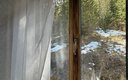 Дом 3-местный (кедровый)