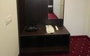 Junior Suite 1-местный