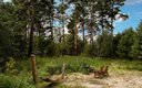Дом у реки 4-местный
